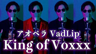 【アオペラ】VadLip  King of Voxxx を全力でカバーしてみた。 [upl. by Nehpets]