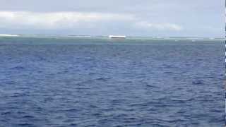 Conway Reef Fiji [upl. by Alegnaed934]