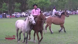 4° Campeonato Del Sur Pampeano quot 34° Fiesta D La Tierra del Caldén quot [upl. by Douglass]