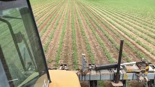 Cultivating organic soybeans 2019 [upl. by Lorita350]