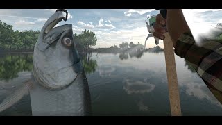 Fishing Planet The Everglades Snook And Tarpon [upl. by Enatan]