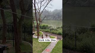 Kolli Hills Stay With A View kollimalai kollihills nature shortsfeed trending viralshorts [upl. by Nihahs]