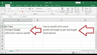 Auto Fit Cell as per Text Length in MS Excel [upl. by Aizitel]