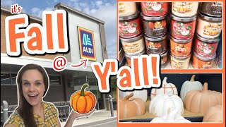 🍁NEW🍁 Fall items at Aldi 2024 🍂  Family Grocery Shopping  Aldi [upl. by Flavia]