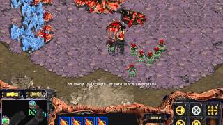 StarCraft Brood War Zerg vs Protoss in Python 13 [upl. by Standing]