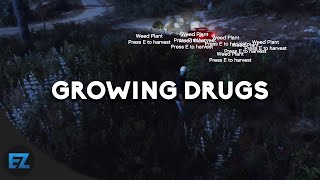 EN Ephorize Roleplay EZRP  Drug manufacturing and selling Showcase [upl. by Burr671]