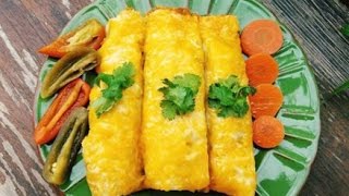 Chicken Enchiladas Recipe [upl. by Arikahc]