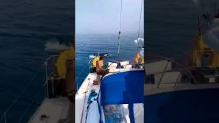 Orcas destroying small boats in Spain orca [upl. by Llenhoj]