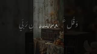 اذكر الله سؤالوجواب question quran القرآنالكريم viralvideo اكسبلور [upl. by Adair]