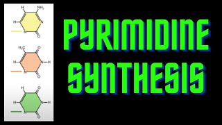 USMLE Step 1  lesson 3  Pyrimidine base synthesis [upl. by Letsou]