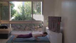 Yoga in Daily Life Asanas 30 minute full class [upl. by Tserrof]