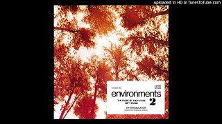 12 ENVIRONMENTS 2  Tintinnabulation Special Low Frequency Version CD Album 1987 Irv Teibel [upl. by Fabrice505]