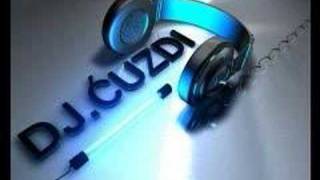 Dj Cuzdi vs Lepa Brena  Luda za Tobom Remix wwwdjcuzdiattt [upl. by Oicnedurp]