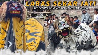 TERBARU SINGO BARONG  LARAS SEKAR JATI  DEMPELREJO NGAMPEL KENDAL [upl. by Arriec]