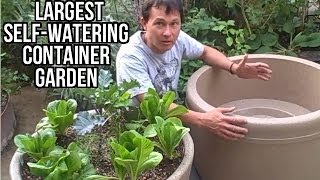 Largest Self Watering Container Garden Lasts a Month Without Watering [upl. by Gemini2]