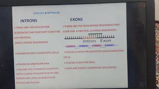 CONCEPT OF INTRON amp EXON [upl. by Nadnal]