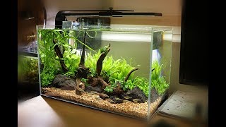 NonCo2 Aquascape Setup  Waterbox Clear 10 [upl. by Jaffe251]