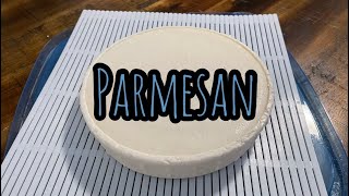 How to make Parmesan style cheese at home [upl. by Melgar119]