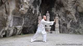 Yi Jin Jing Qigong by Master Wang Zhi Ping 1 movement [upl. by Ailecara]