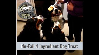 Braunschweiger High ValueTreat Recipe and What Goes Into Our Go Home Puppy Packets [upl. by Demona]