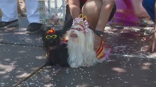 Al Carnevale di Rio anche i cani sfilano in costume [upl. by Annabela840]