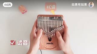 seeds 41 key kalimba kalimbakalimbasongsmarimbas [upl. by Olracnaig]