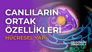 Canlıların Ortak Özellikleri 1  Hücresel Yapı  TYT Biyoloji  yks2024 [upl. by Retsevlys]