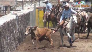 lienzo Charro Jose Beremun Huejuquillita [upl. by Ifill607]