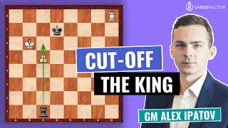 Dont miss this important Rook Endgame Technique  Beginner Level  GM Alex Ipatov [upl. by Wina763]