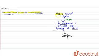 The cilliate motile spores are called zoospores  12  REPRODUCTION IN ORGANISMS  BIOLOGY  SA [upl. by Amberly418]