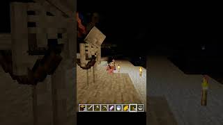 Poi poi piii Minecraft trend feedshorts minecraft gamer gaming gameplay [upl. by Roderich]