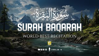 Surah Al Baqarah Full سورة البقره HEART TOUCHING RECITATION  Zikrullah TV [upl. by Yeffej]