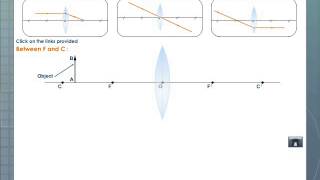 Image Formation by a Convex Lens [upl. by Amitaf]