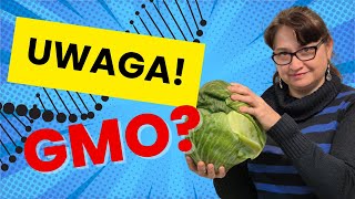 Cała Prawda o Tworzeniu GMO [upl. by Melly]