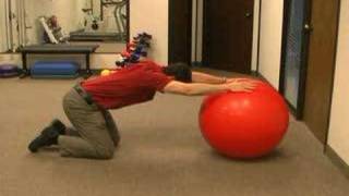 Lower Trapezius Exercise [upl. by Wernda]