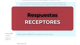 Todo Sobre Receptores Mecanismos y Regulación [upl. by Bigod]