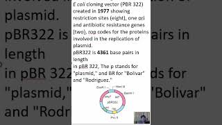 pbr 322 cloning vector E coli cloning vector PBR 322 created in 1977 showing restriction sites [upl. by Tsirc]