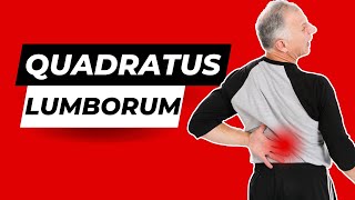 Quadratus Lumborum Stretch amp Pain Relief A Muscle in your Back [upl. by Anim927]