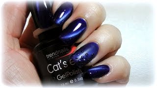 CAT EYE NAILS  Design in Matt und Glänzend [upl. by Lillywhite587]