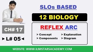 Reflex Arc Components of Reflex Arc Class 12 Biology Chapter 17 Nervous Coordination [upl. by Durarte620]