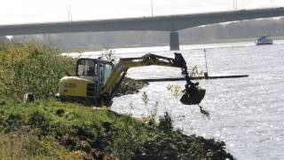 Bagger Wacker Neuson Bagger 50Z3 und Hund [upl. by Teodorico]