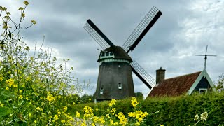 Noord Holland Bike Ride [upl. by Aleacem679]