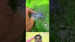 iPhone in water iphone water youtubeshorts  viral [upl. by Enal385]