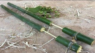 🇵🇭HOW TO MAKE A BAMBOO GUN THAT SHOOTS FRUIT BULLETS PALTOK [upl. by Janet476]