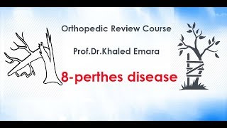 8perthes disease  prof Drkhaled Emara  مرض قصور الدوره الدموية فى رأس عظمة الفخذ فى الاطفال [upl. by Chak]