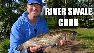 Chub Fishing On The River Swale [upl. by Karolyn]