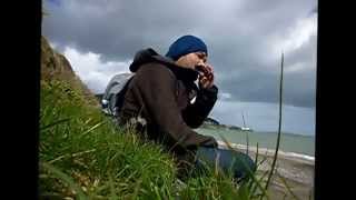 Harmonica Jamming in Killiney Beach Ireland [upl. by Egroej]