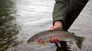 One Minute Alaska Vacation  Jan 14 Thumbs Up for Epic Fishing [upl. by Narot]