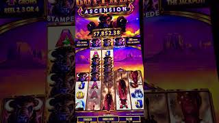 Super Stampede Mega jackpot hit Lots and lots and slots machine Buffalos Lucky casino bet [upl. by Jeroma466]