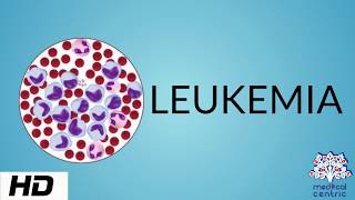 LEUKEMIA Causes Signs and Symptoms Diagnosis and Treatment [upl. by Fee619]